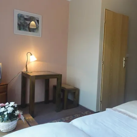 Hotel Bor 3*